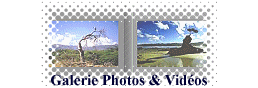 tl_files/fM_k0001/images/photos_videos.png Carriere